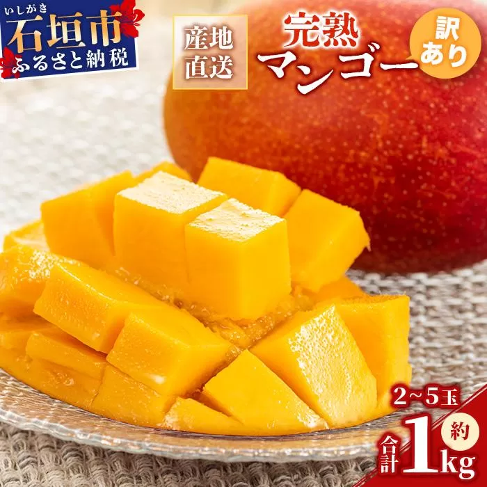 ＜先行予約＞【訳あり】 完熟 マンゴー (約1〜1.2kg 2〜5個)《2026年7月上旬から順次発送》 | ふるさと納税 マンゴー わけあり 不揃い 産地直送 フルーツ 果物 マンゴー 石垣 沖縄 KP-013