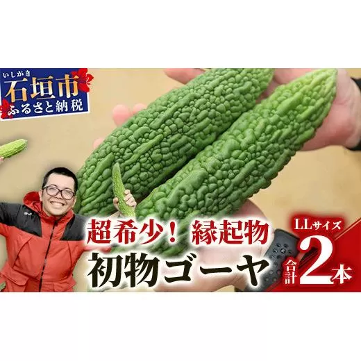 【予約受付】「最優秀賞」受賞の農家！希少品！贈答用「初物ゴーヤ」《2026年1月上旬～2026年2月中旬頃まで順次発送》【 ふるさと納税 沖縄県石垣市 沖縄 石垣 石垣島 希少 贈答 初物 ゴーヤ 離島のいいもの 沖縄いいもの石垣島 】OI-1