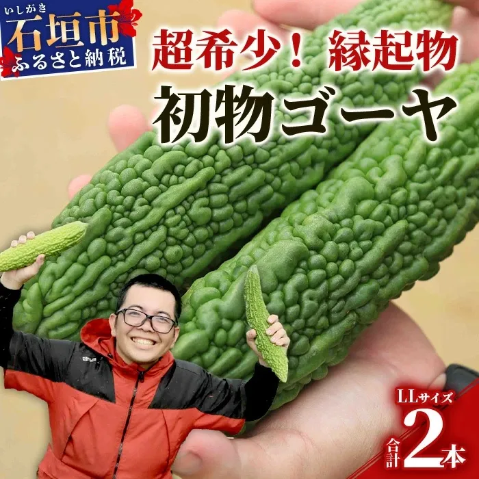 【予約受付】「最優秀賞」受賞の農家！希少品！贈答用「初物ゴーヤ」《2027年1月～2027年4月まで順次発送》【 ふるさと納税 沖縄県石垣市 沖縄 石垣 石垣島 希少 贈答 初物 ゴーヤ 離島のいいもの 沖縄いいもの石垣島 】OI-1