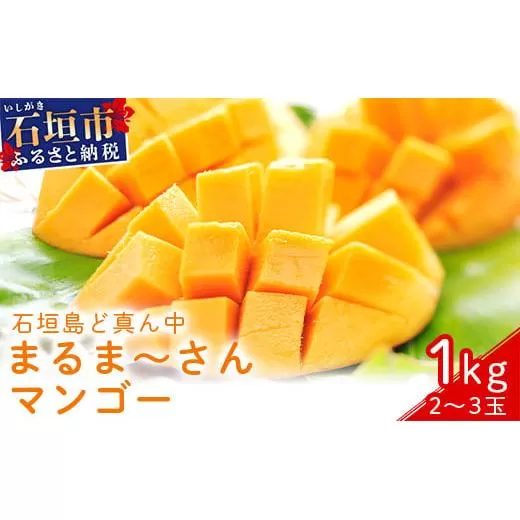 ＜先行予約＞「マンゴー」 ⽯垣島ど真ん中 まるま～さん マンゴー 1kg (2～3玉) ≪2026年7月頃より順次発送予定≫ (アーウィン種)【 産地直送 マンゴー アーウィンマンゴー アップルマンゴー 沖縄県 八重山 石垣産 アーウィン種 マンゴー フルーツ 果物 】 IT-1