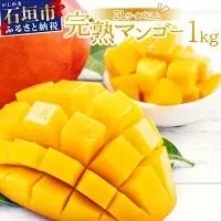 [期間限定 春フェア] [2026年6月末から順次発送]2L〜3L マンゴー2〜3玉(約1kg) [ 産地直送 旬 フルーツ 新鮮 完熟 マンゴー 石垣 沖縄 ]KP-24