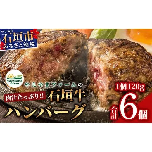 やえやまファームの石垣牛ハンバーグ 6個セット E-27