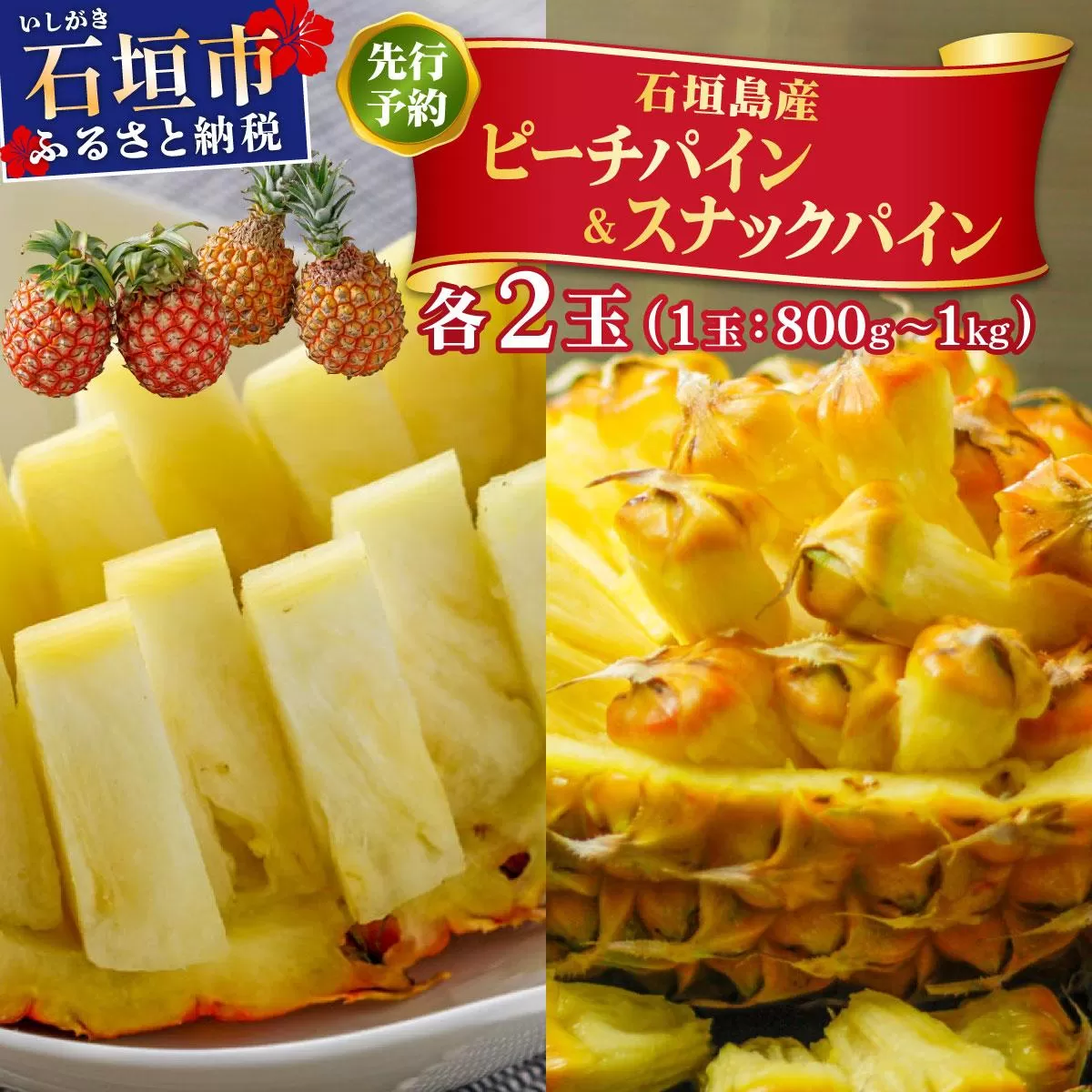 ＜先行予約＞ ピーチパイン スナックパイン 各2玉セット ＜2026年4月発送＞ | 沖縄県 石垣市 石垣島産 パイン パイナップル ZH-024
