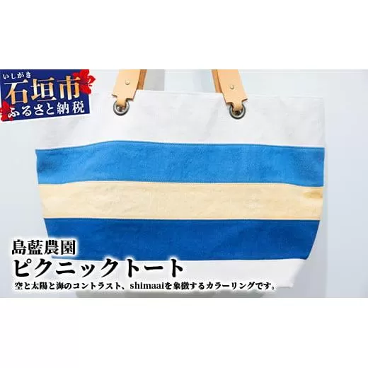 【石垣島の藍染工房】バッグ(大) ピクニックトート KB-171-1