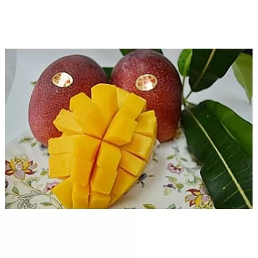 <先行予約>石垣島産マンゴー(アーウィン種) 8~12玉 約5kg | マンゴー アップルマンゴー 沖縄県 IF-3