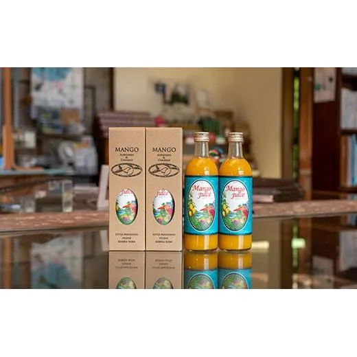【12回定期便】マンゴージュースセット 500ml×4本 (毎月発送・12回定期便) W-011