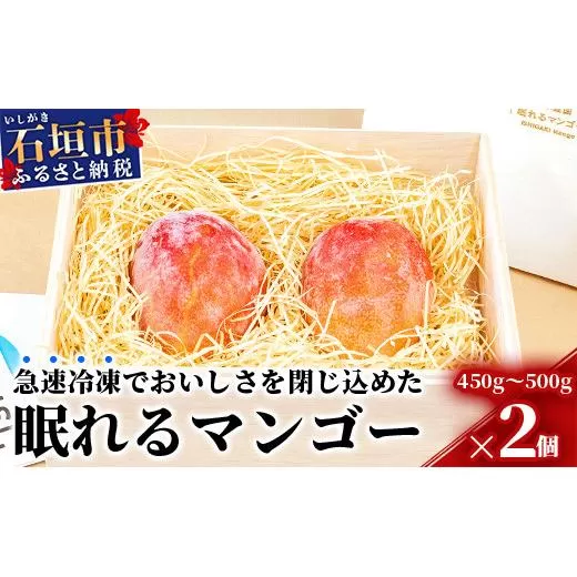 石垣の恵 眠れるマンゴー(450g～500g)2玉 専用箱入 KB-31