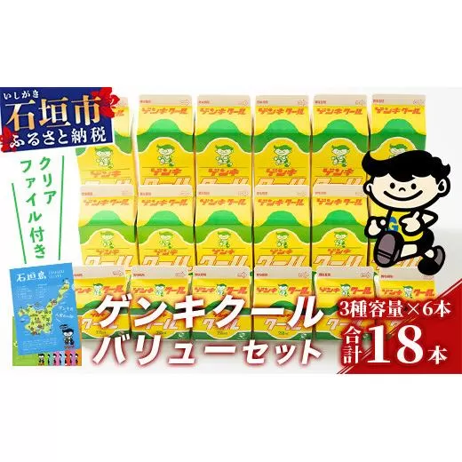 【ふるさと納税限定】ゲンキクールバリューセット【八重山ゲンキ乳業】【石垣島のソウルドリンク ゲンキクール】GN-1