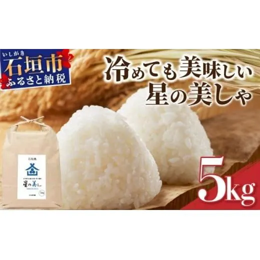 石垣島産 星の美(かい)しゃ 5kg みやぎ米屋【 日本一早い新米の産地 石垣 米 お米 産地直送 旬 ほしじるし 沖縄県 石垣市 】MK-3 