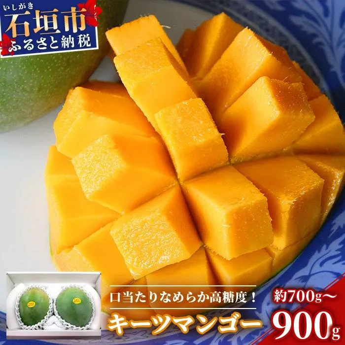 <先行予約> 沖縄県石垣島産 キーツマンゴー 約700~900g【2026年8月発送】【口当たりがなめらかな 高糖度マンゴー】
