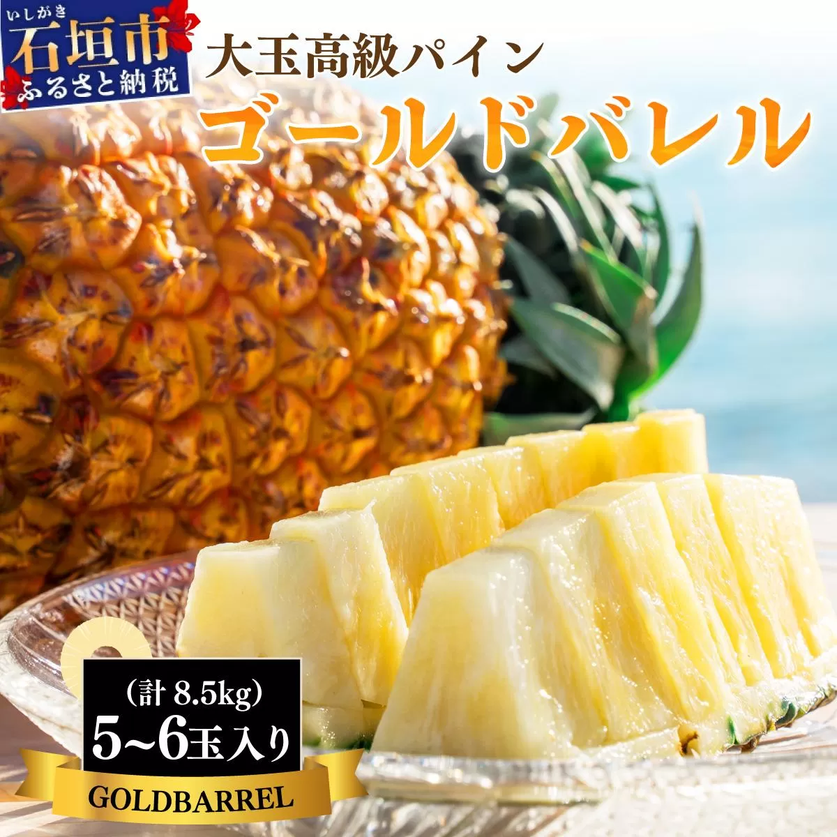＜先行予約＞ 石垣島産 ゴールドバレルパイン 大玉5～6個入り 約8.5kg ＜2026年7月以降発送＞ | 産地直送 沖縄 石垣 フルーツ パイナップル パイン ゴールドバレルパイン SI-8-2