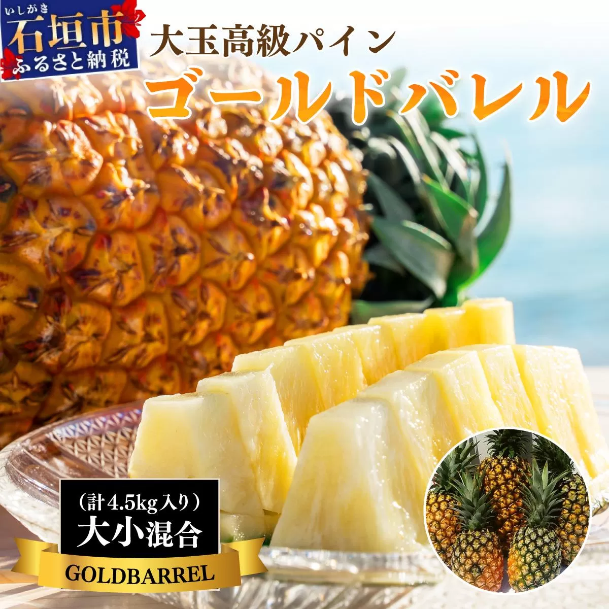 ＜先行予約＞【訳あり】石垣島産 ゴールドバレルパイン 大小混合セット 約4.5kg ＜2026年7月以降発送＞ | 産地直送 沖縄 石垣 フルーツ パイナップル パイン ゴールドバレルパイン【規格外】SI-7-1