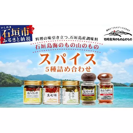 UY-1 石垣島海のもの山のものスパイス&オリジナル詰め合わせセットA
