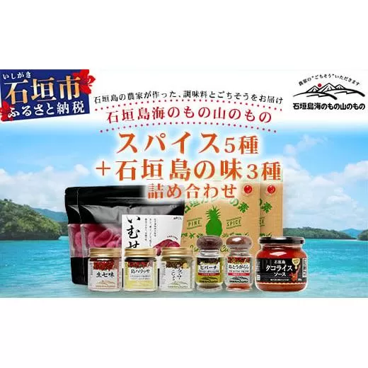 UY-2 石垣島海のもの山のものスパイス&オリジナル詰め合わせセットB