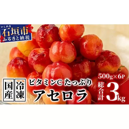 ZH-20 沖縄 石垣島産 《ご家庭用》アセロラ3㎏（冷凍）