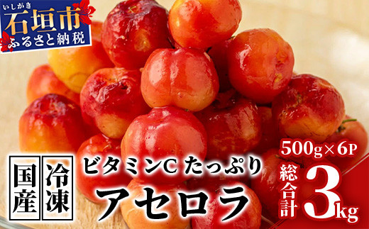 ZH-20 沖縄 石垣島産 《ご家庭用》アセロラ3㎏（冷凍）｜石垣市｜沖縄