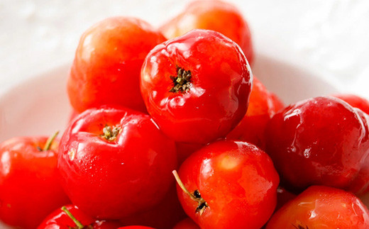 ZH-20 沖縄 石垣島産 《ご家庭用》アセロラ3㎏（冷凍）｜石垣市｜沖縄