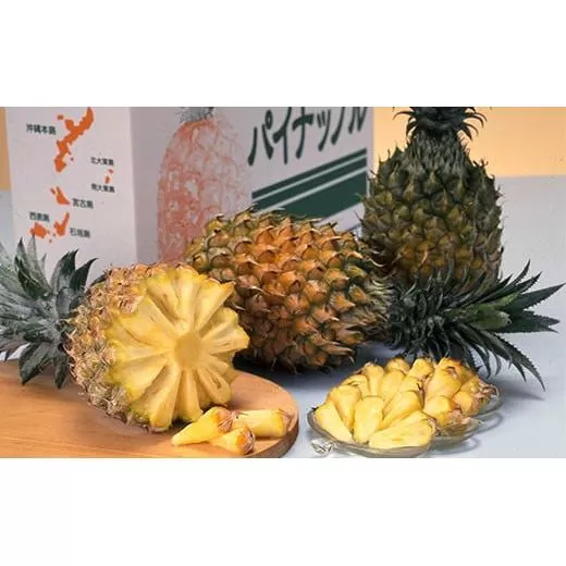 【農林水産大臣賞受賞】【予約受付】當銘さんグループのスナックパイン2.2kg(2玉~5玉)【2026年4月20日より順次発送予定】YK-2