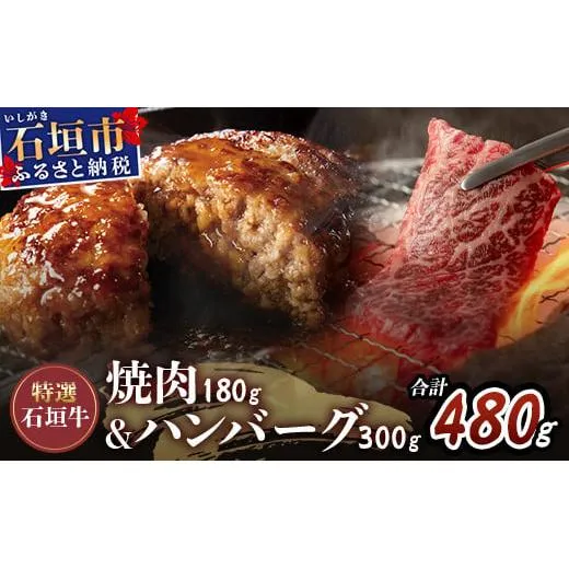 ≪特選≫ 石垣牛100% ハンバーグ (100g×3個) & ≪特選≫ 石垣牛 元卸のお任せ焼肉 (180g) セット(八重山パーツミート)I-17-1