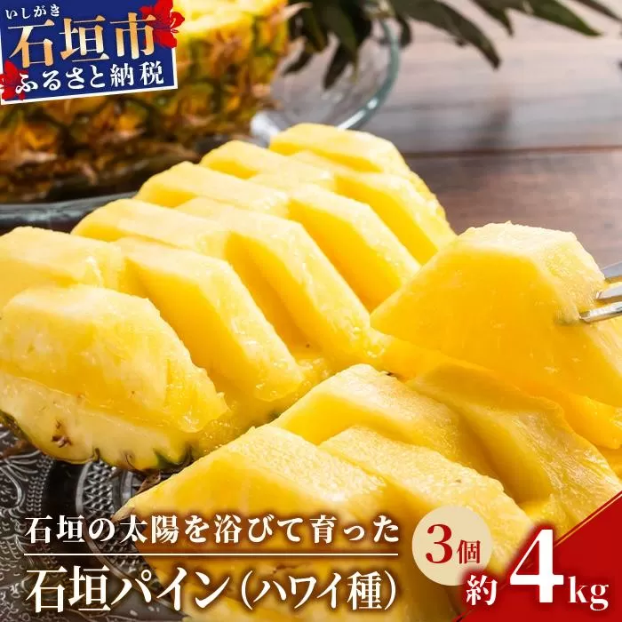 ＜先行受付＞石垣パイン ハワイ種 3個セット＜2026年7月上旬発送＞ | パイナップル パインアップル 石垣島パイン フルーツ 果物 くだもの 南国フルーツ 国産パイン MI-6-1