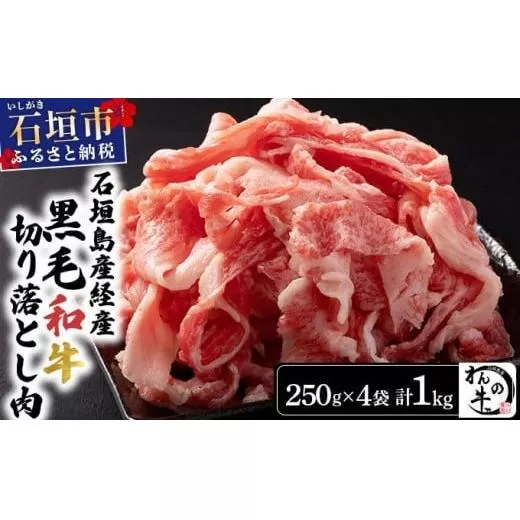 ＜わんの牛＞石垣島産経産黒毛和牛 切り落とし 250g×4袋 合計1kg NA-02