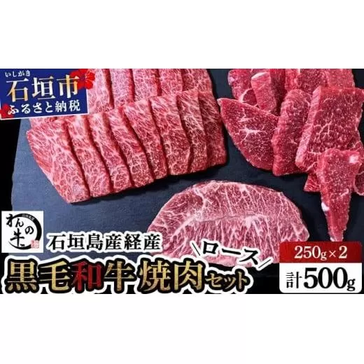 石垣島産経産黒毛和牛 焼肉セット【真空パック】 計 500g　NA-01
