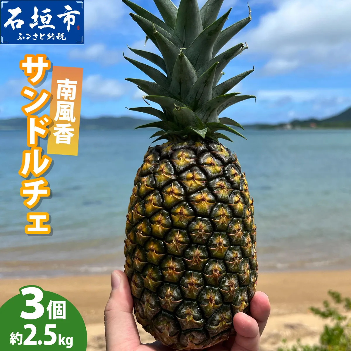 【先行予約】南風香 サンドルチェ 3玉 約2.5kg <2027年6月以降順次発送予定>