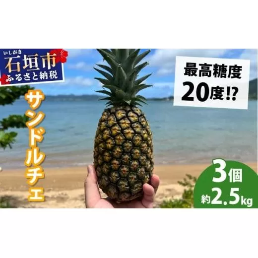 【先行予約2026年6月下旬頃から順次発送】最高糖度20度！？クリーミーな味わいが魅力の石垣島産完熟サンドルチェ 3個セット
