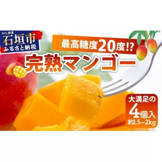 《2026年6月下旬～7月発送》最高糖度20度！？ 石垣島産完熟マンゴー！大満足の４個入り