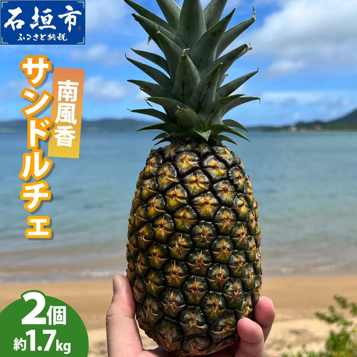 【先行予約】南風香 サンドルチェ 2玉 約1.7kg <2027年6月以降順次発送予定>