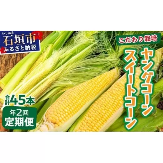 【先行予約2027年1月-5月配送】1番遅くて1番早い⁉ プレミアムヤングコーンとスイートコーンのよくばり定期便!!朝採れを皮付きのままお届け!!