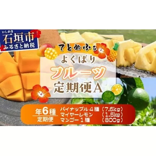 《年6回発送》島のおいしいを贅沢に！大満足のパイナップル4種とマンゴー、マイヤーレモンの定期便