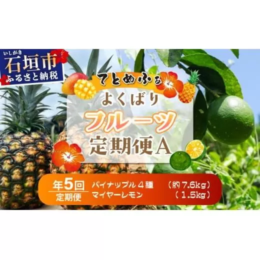 《年5回発送》パイナップル好きにおすすめ！大満足のパイナップル4品種＆マイヤーレモン定期便