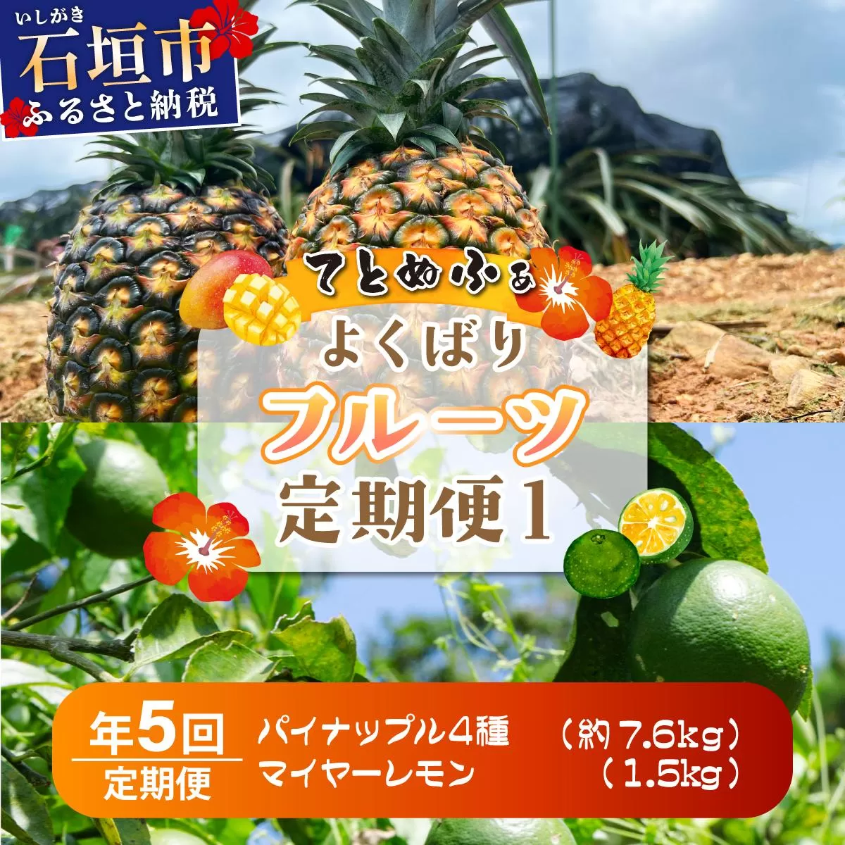 《年5回発送》パイナップル好きにおすすめ！大満足のパイナップル4品種＆マイヤーレモン定期便