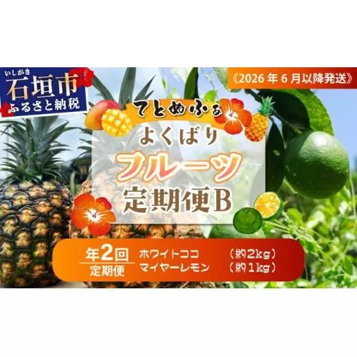 《2026年6月以降発送》マツコの知らない世界で紹介！幻のホワイトココ＆青切りマイヤーレモンの定期便 年２回に分けてお送りします