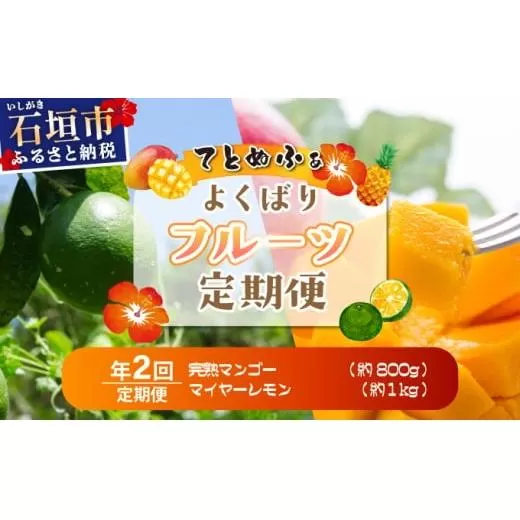 《6月以降発送》最高糖度20度！？完熟マンゴーと青切りマイヤーレモンの定期便！！年2回に分けてお送りします