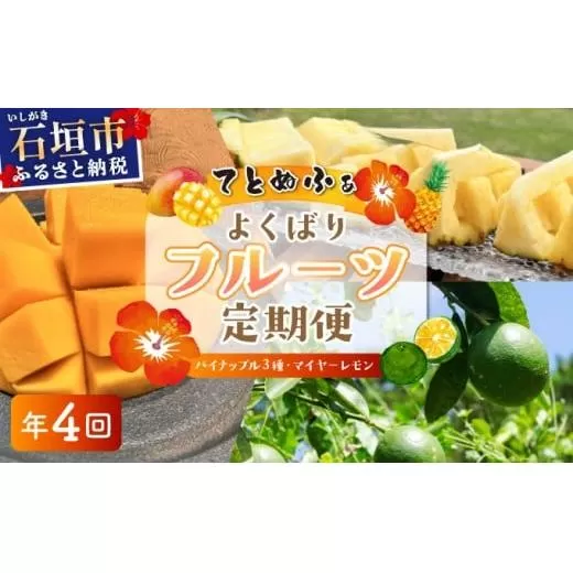 《年4回発送》パイナップル好きにおすすめ！大満足のパイナップル３品種＆マイヤーレモン定期便