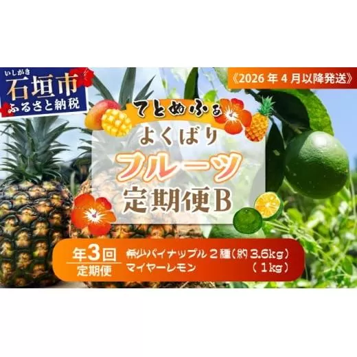 《2026年4月以降発送》果物好きにおすすめ！希少なパイナップル2品種＆青切りマイヤーレモンの定期便　年3回に分けてお送りします