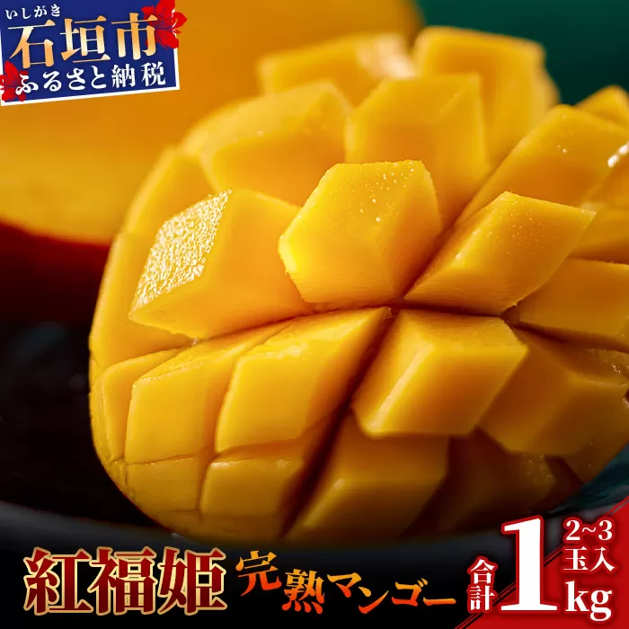 【2025年発送 先行予約】「紅福姫ブランド」石垣島のマンゴー 1kg 2～3玉【沖縄県 石垣市 産地直送 旬 石垣島産 マンゴー 完熟マンゴー アーウィン種マンゴー】OT-4
