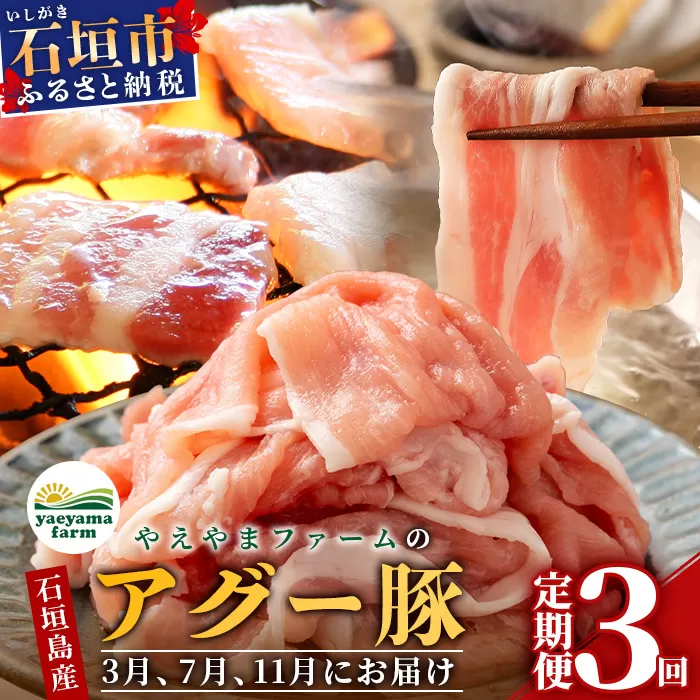 石垣島産 やえやまファームのアグー豚の定期便（3月、7月、11月お届け）【 南ぬ豚 アグー豚 焼肉 食べ比べ 豚肉 石垣 石垣島 沖縄 八重山 やえやまファーム 】 E-30-1