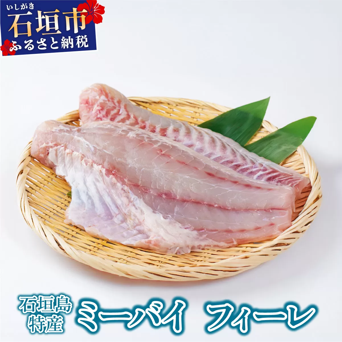 石垣島特産ミーバイ（ヤイトハタ）フィーレ KS-14