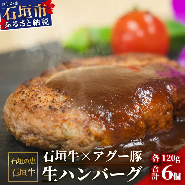 【産地直送】石垣の恵 石垣牛とアグー豚の合い挽き生ハンバーグ 6個【合計720g】【日本最南端の黒毛和牛】KB-103