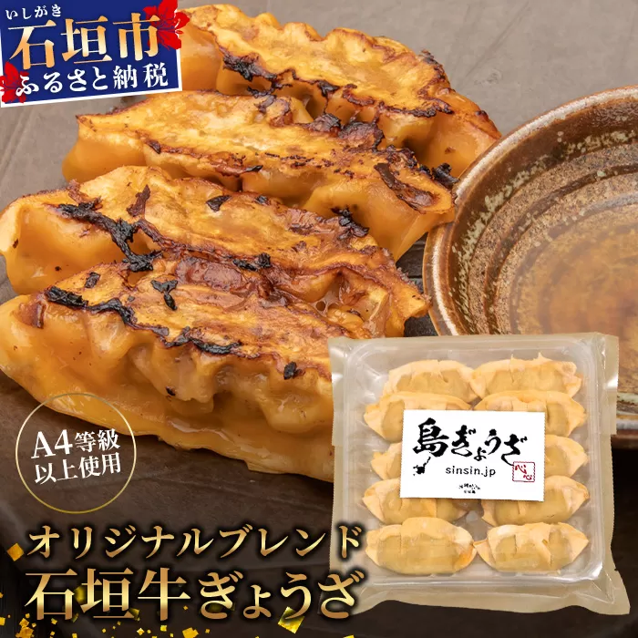 ≪餃子≫ 石垣牛 ぎょうざ 10個【 石垣牛 ぎょうざ 餃子 焼き餃子 水餃子 焼餃子  石垣牛 沖縄県 石垣市 】GS-1