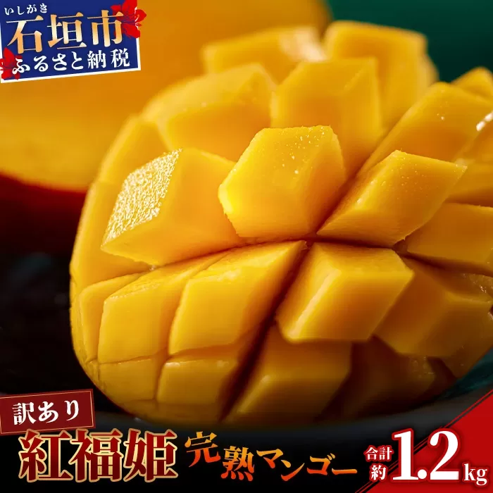 訳あり【2026年発送 先行予約】「紅福姫ブランド」石垣島のマンゴー 約1.2kg【沖縄県 石垣市 産地直送 旬 石垣島産 マンゴー 完熟マンゴー アーウィン種マンゴー】OT-01
