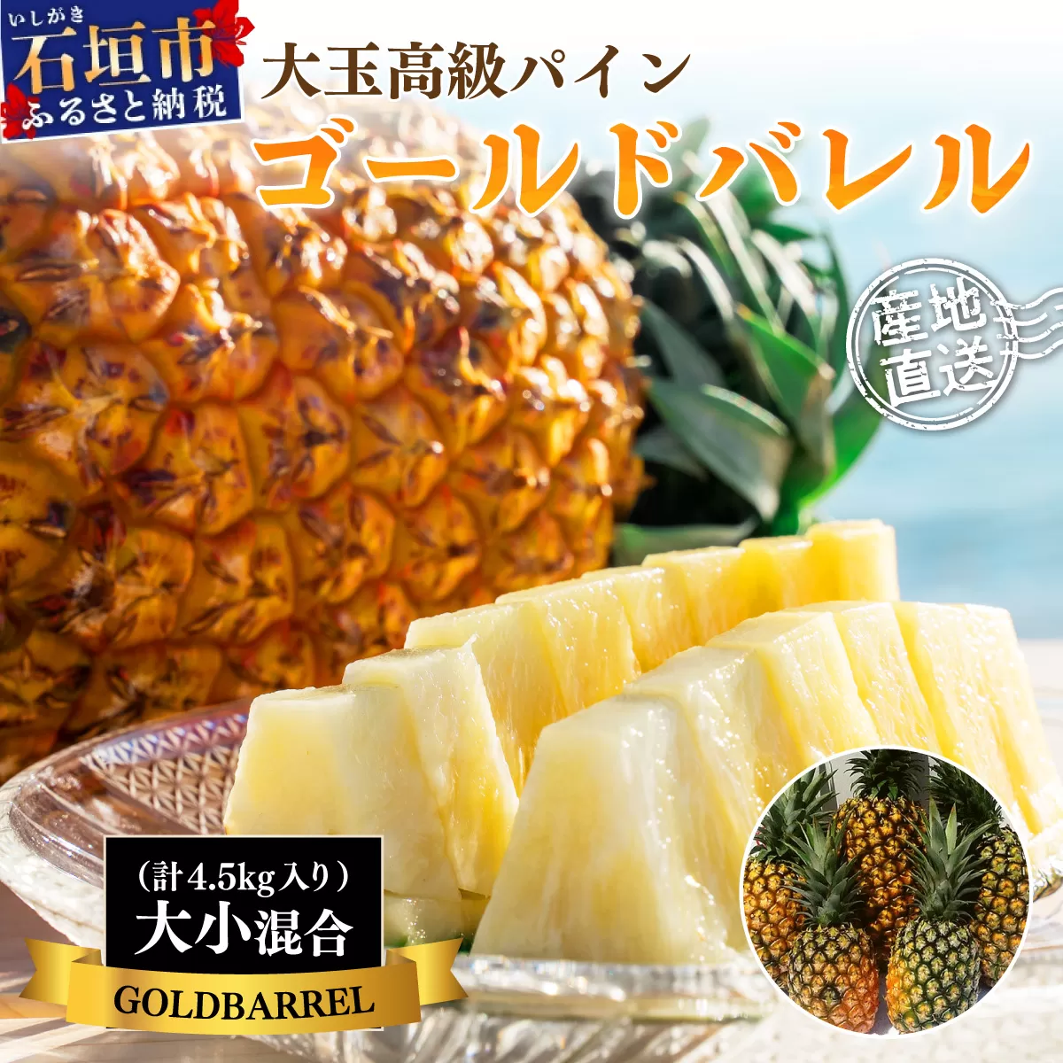 【先行予約】《2025年夏季 順次発送》石垣島産・ゴールドバレルパイン 高級パインですが「訳あり」の大小混合セット SI-7-1