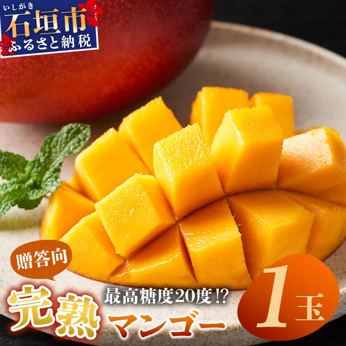 《2025年6月下旬〜7月下旬発送》【先行予約】最高糖度20度！？ 完熟の極！3Lサイズ 石垣島マンゴー 1玉入り約400g【贈答向け】【 産地直送 完熟マンゴー アーウィン マンゴー 沖縄 八重山 石垣島産 】TF-11-1