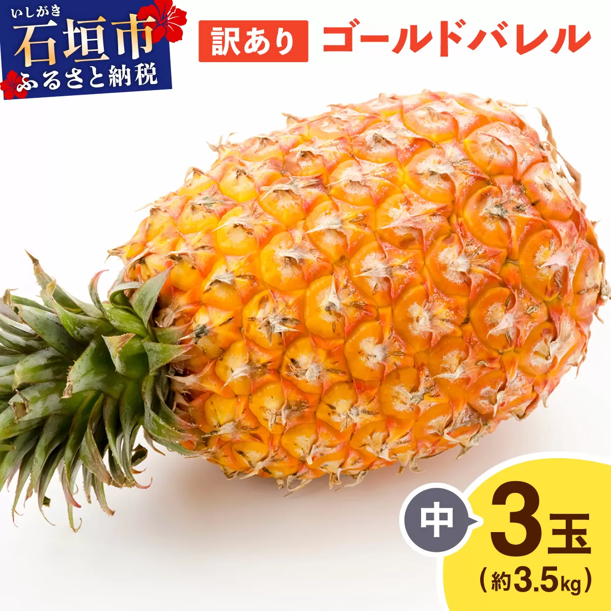 ≪5月上旬順次発送≫ 訳あり ゴールドバレル 中 3玉（約3.5kg） TP-19