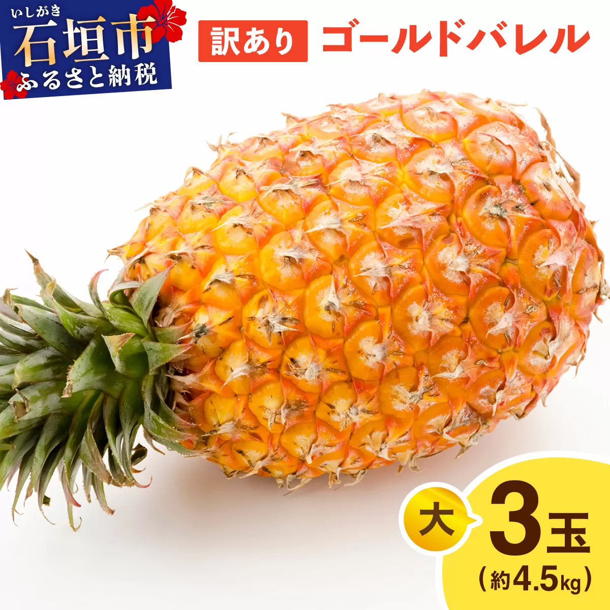 ≪5月上旬順次発送≫ 訳あり ゴールドバレル 大 3玉（約4.5kg） TP-20