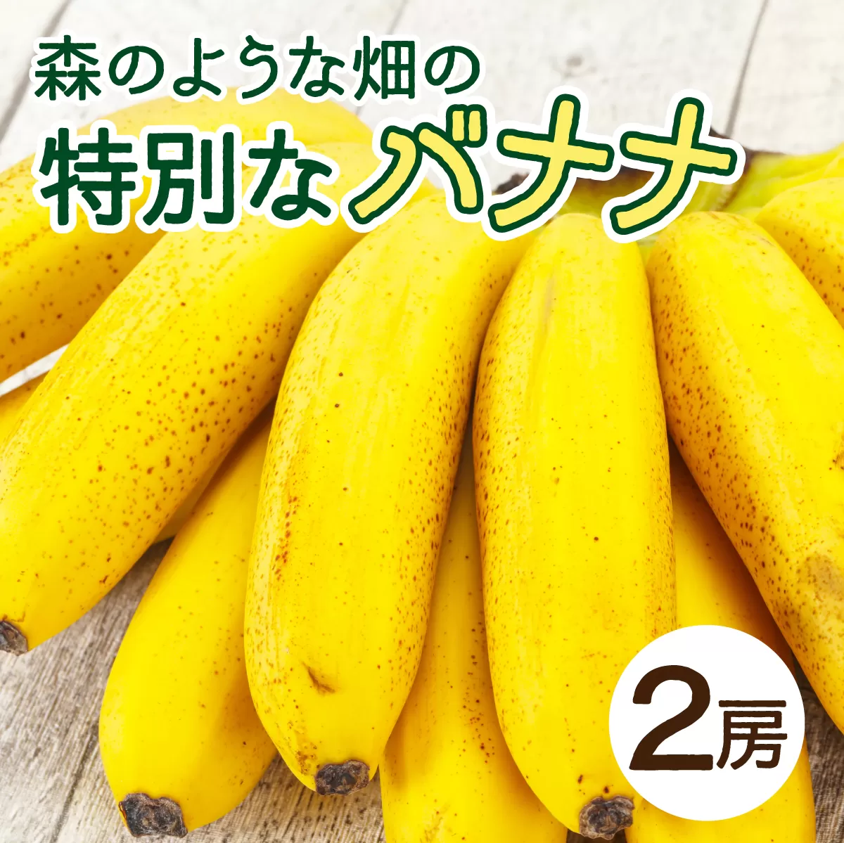 希少！こだわりの水を使い「森ような畑」で栽培する、仲原さんのバナナ【 沖縄県 石垣島 石垣島産 バナナ ばなな 農薬不使用 化学肥料不使用 】OI-16