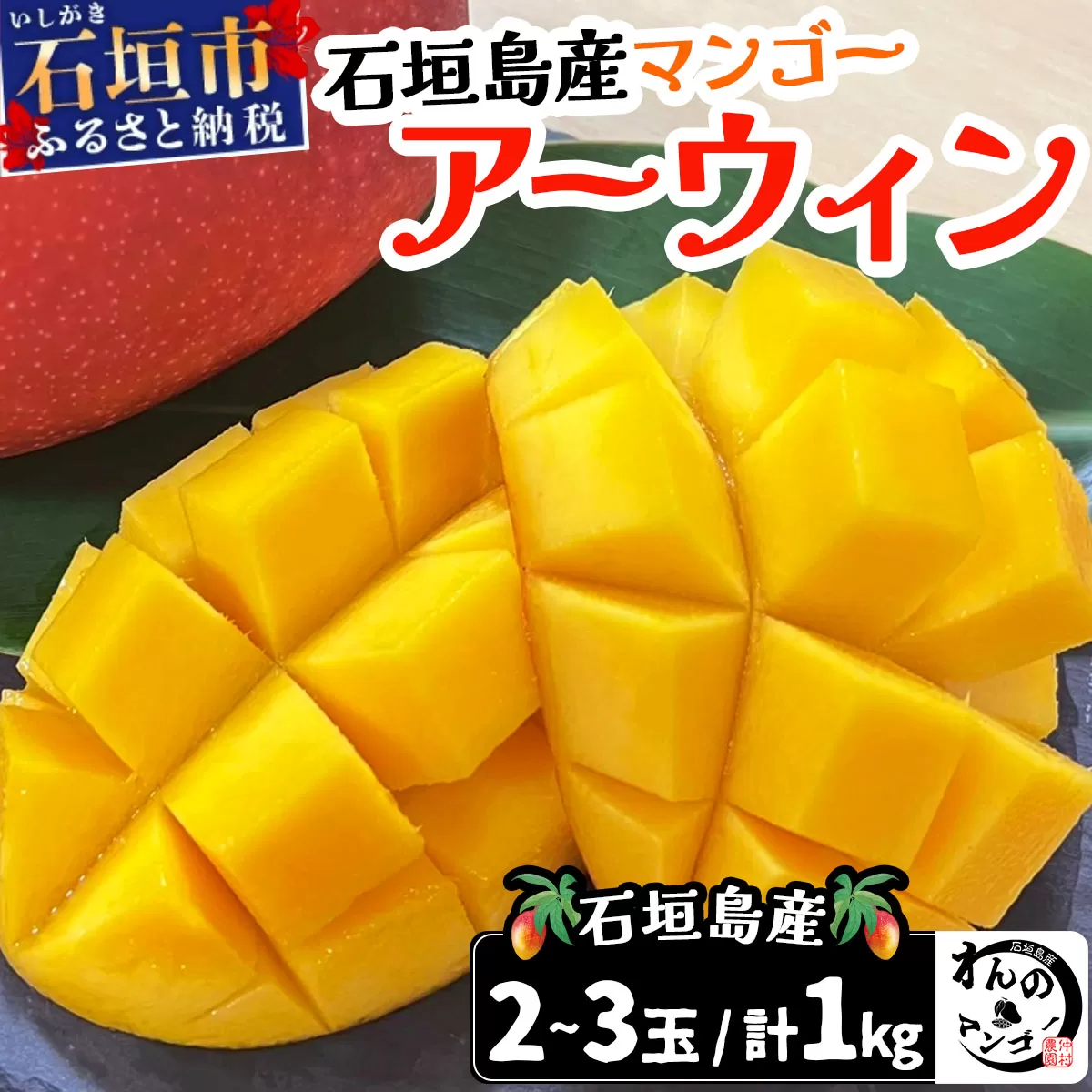 ＜わんのマンゴー＞石垣島産マンゴー【アーウィン】 合計1kg NA-03